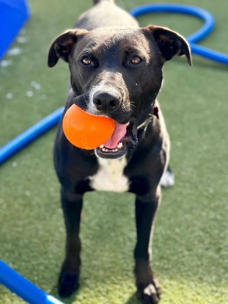 Little Bit thumbnail 5