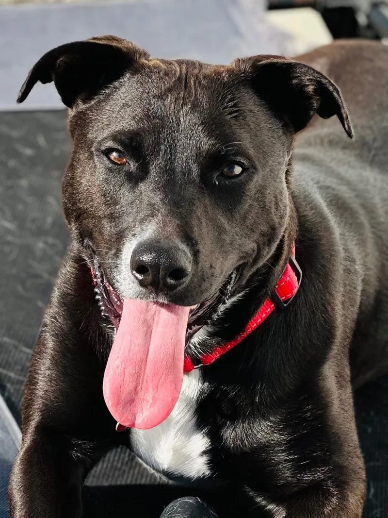 Little Bit thumbnail 6