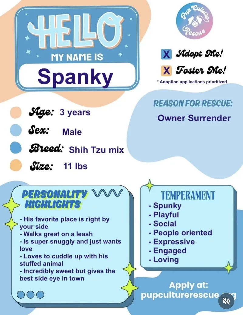 Spanky thumbnail 3