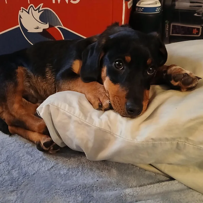 Seinfeld thumbnail 2