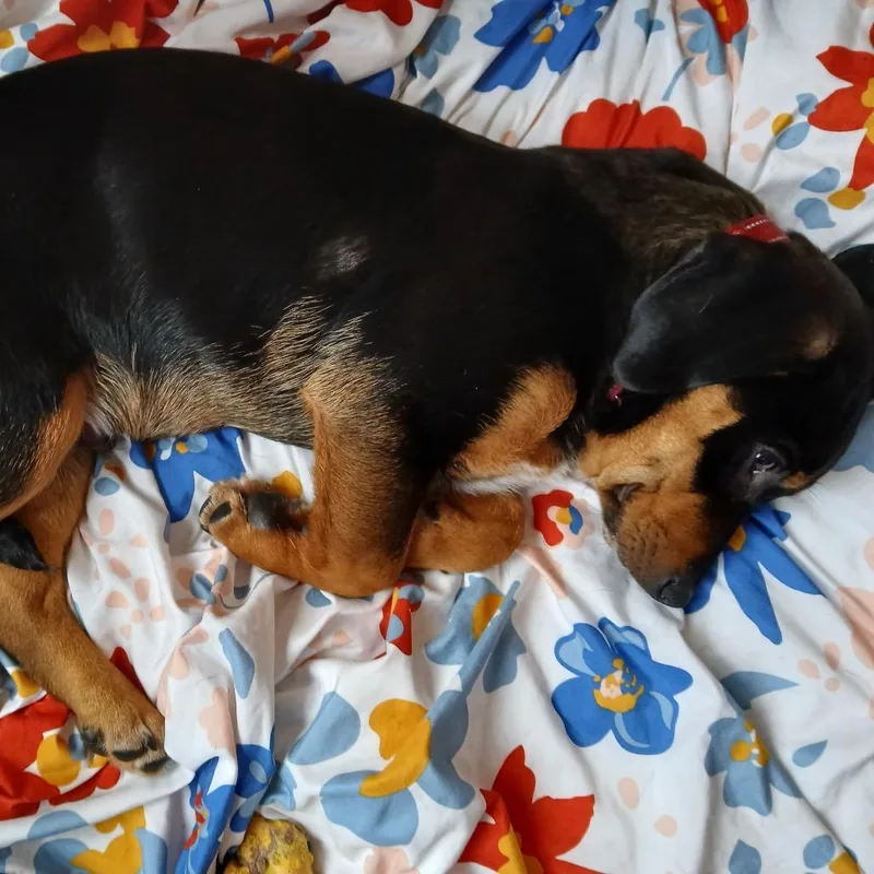 Seinfeld thumbnail 3