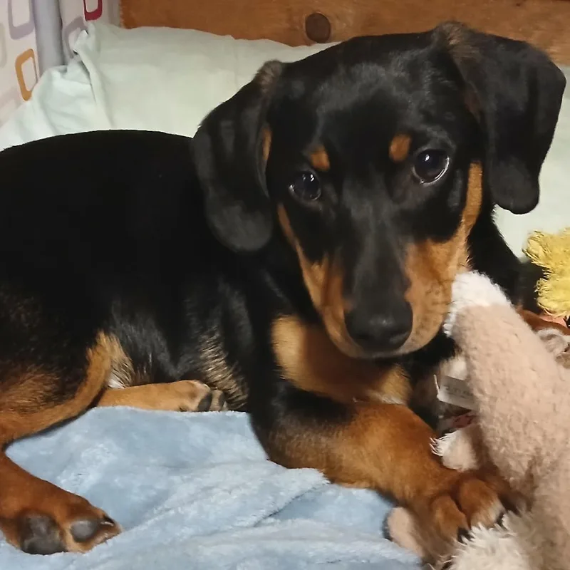 Seinfeld thumbnail 4