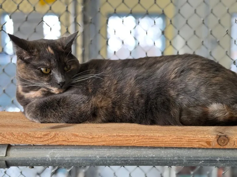 Lenora Aka Spicey thumbnail 2