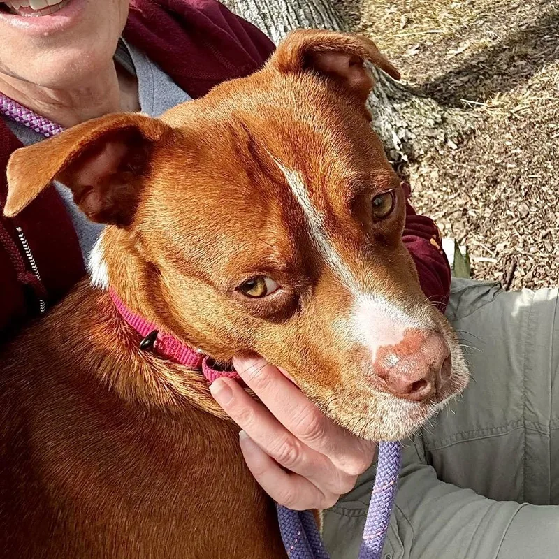 Squidley thumbnail 2