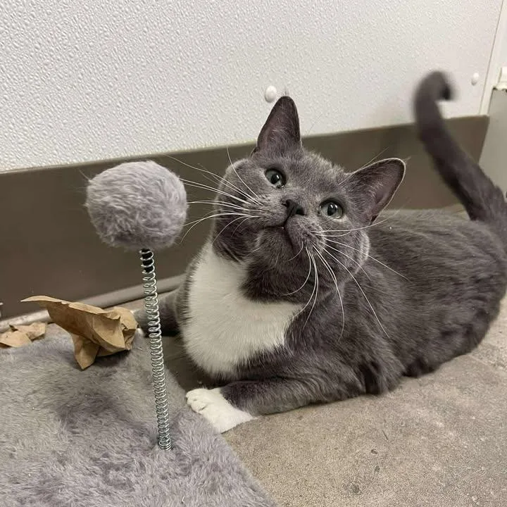 Crunchwrap Supreme thumbnail 3