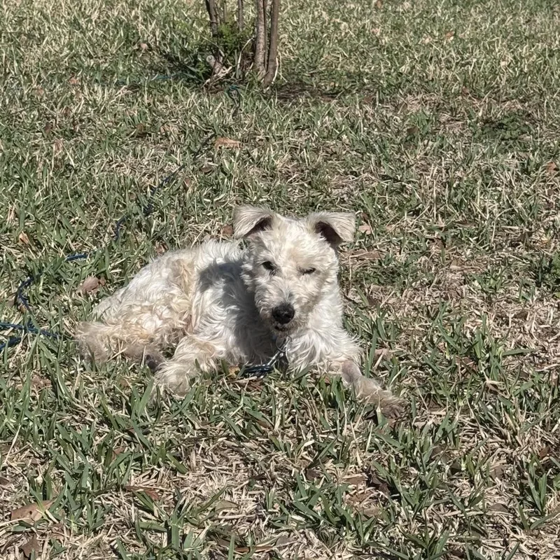 Dennis D Arriving  thumbnail 2