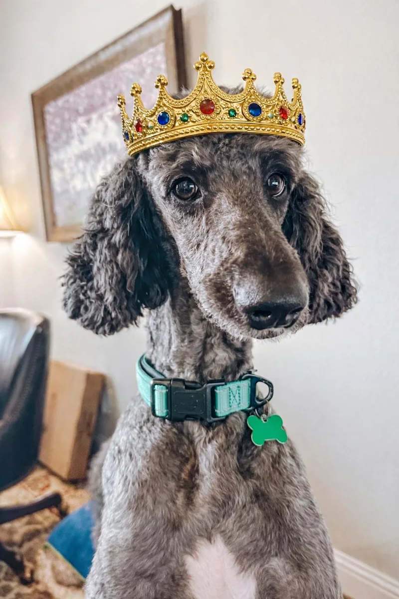 Remington James thumbnail 2