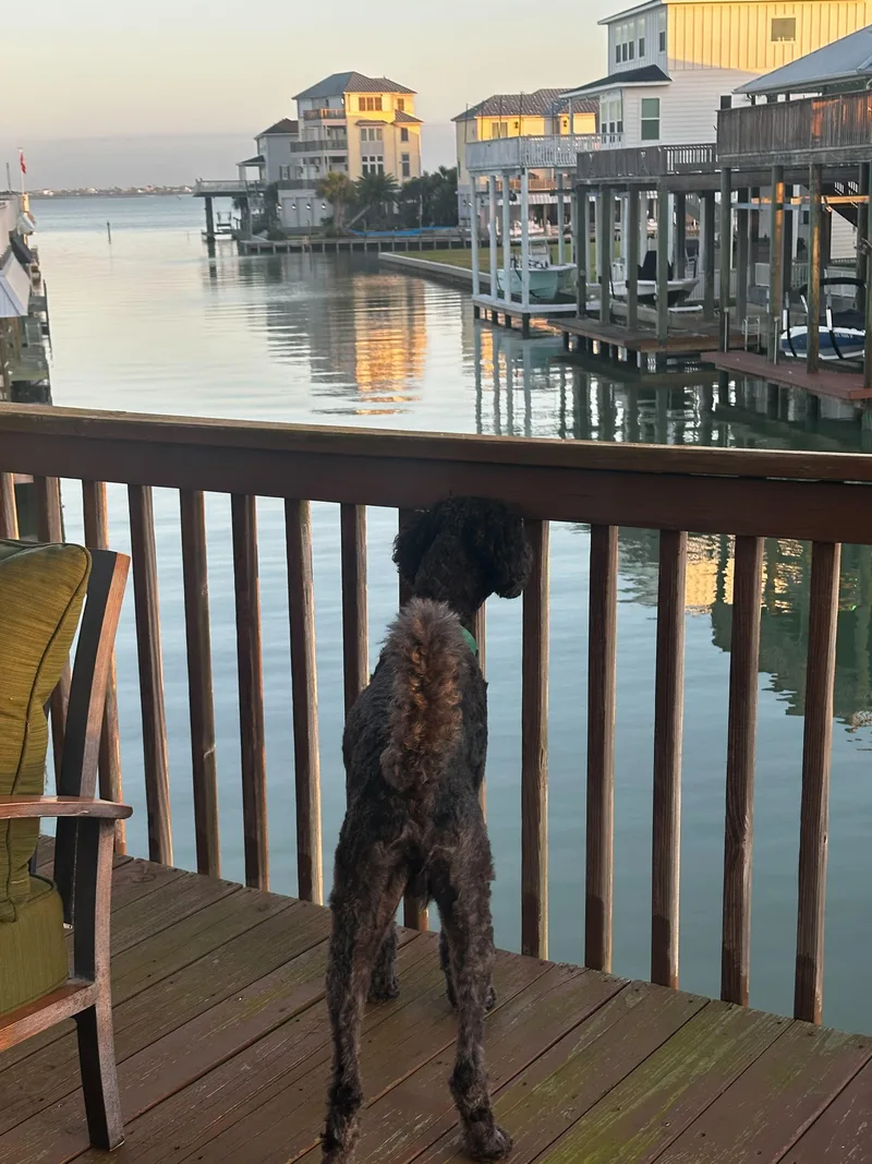 Remington James thumbnail 3