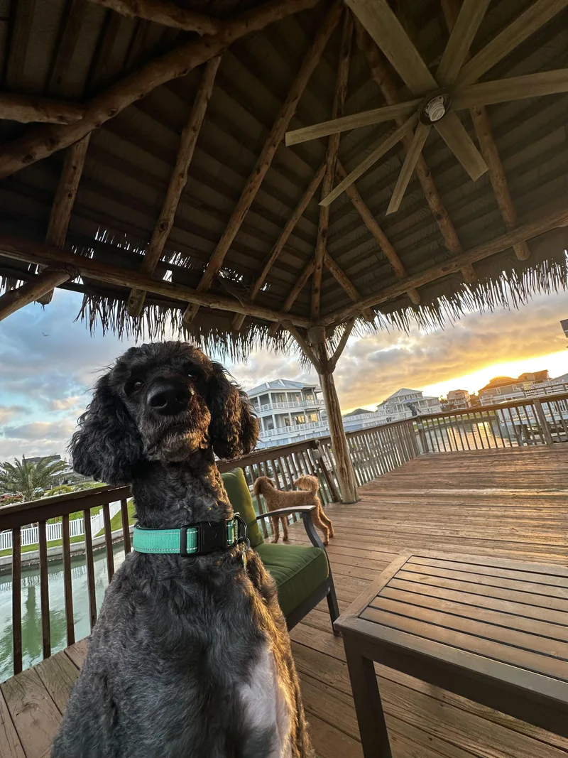 Remington James thumbnail 4