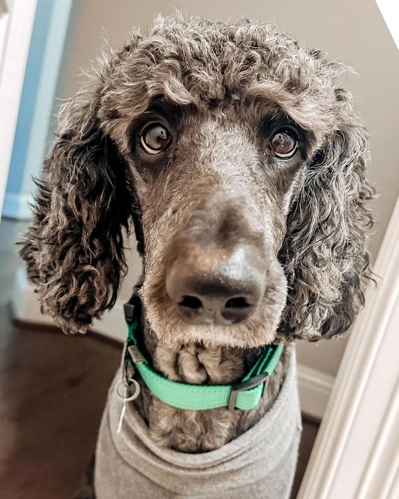 Remington James thumbnail 5