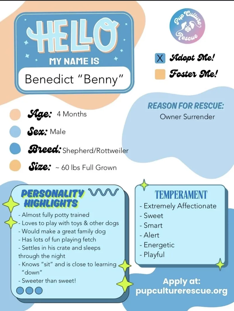 Benedict thumbnail 2