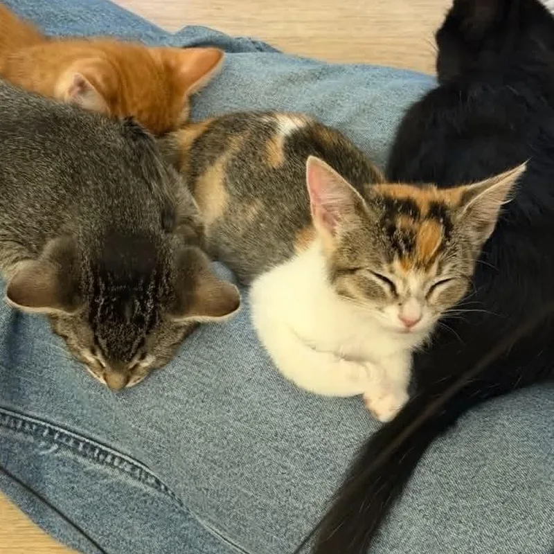 Esther thumbnail 2