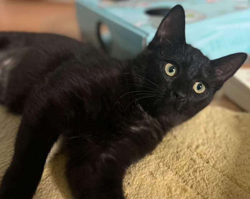 Coffee And Cream thumbnail 6