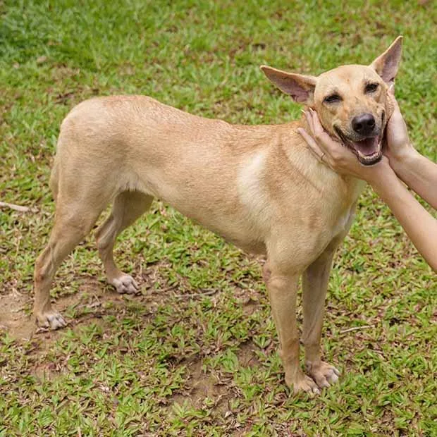 Matasurat “mattie”