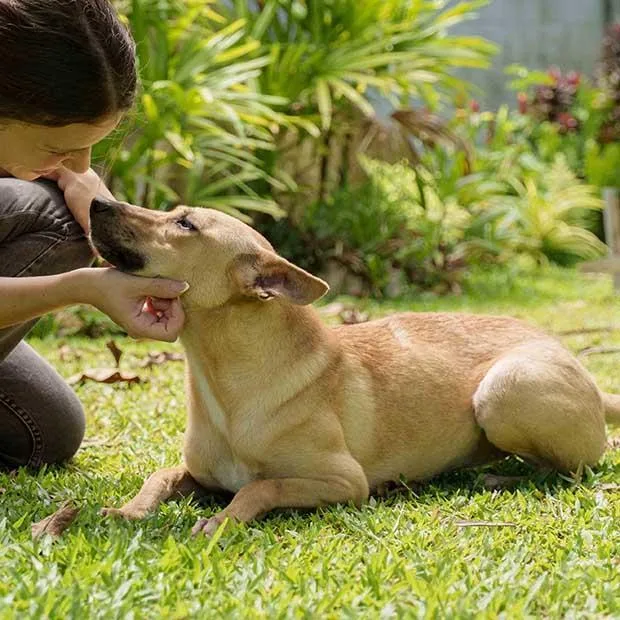 Matasurat “mattie” thumbnail 2