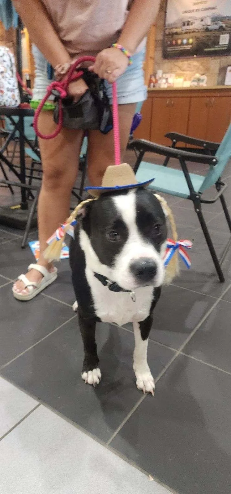 Katie% Discountprofessional Training If