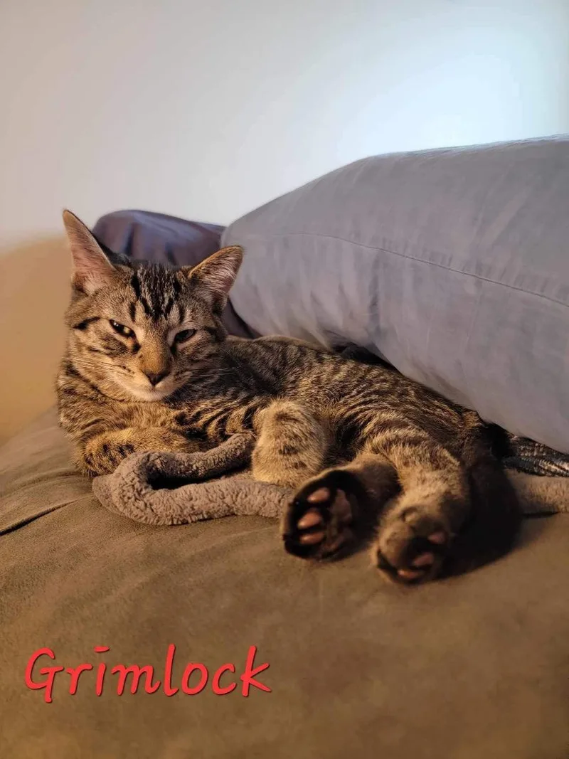 Grimlock thumbnail 3