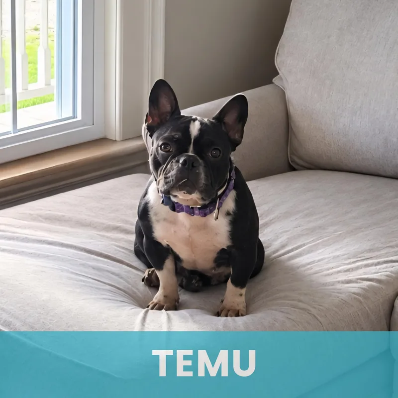 Temu thumbnail 5