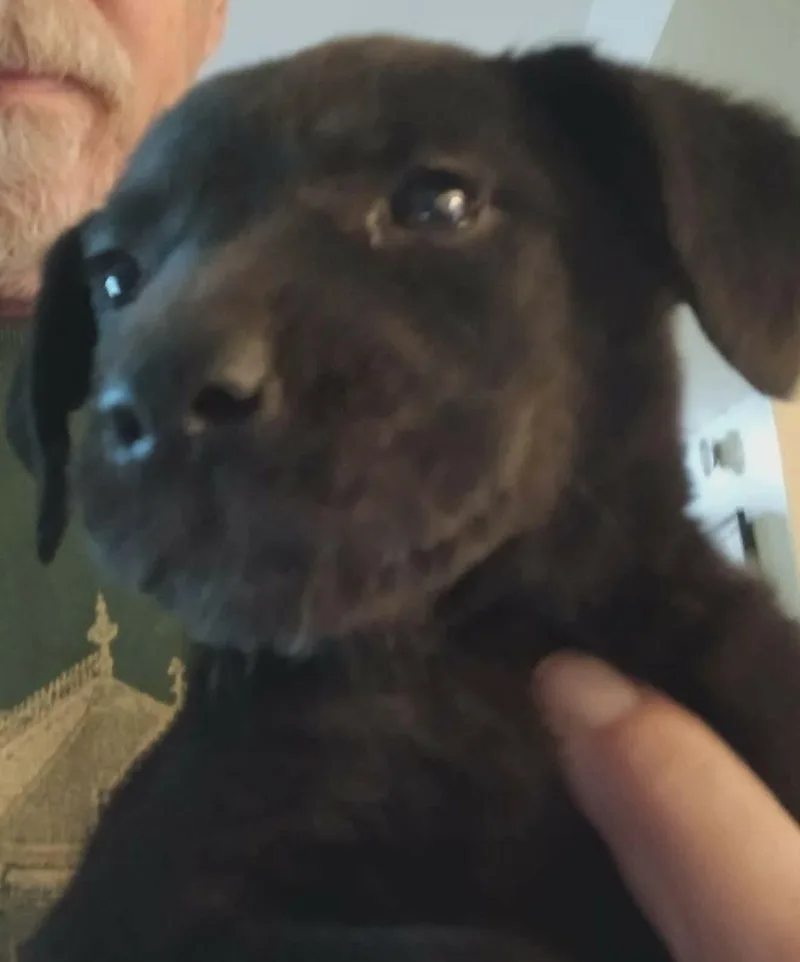 Olivia thumbnail 3