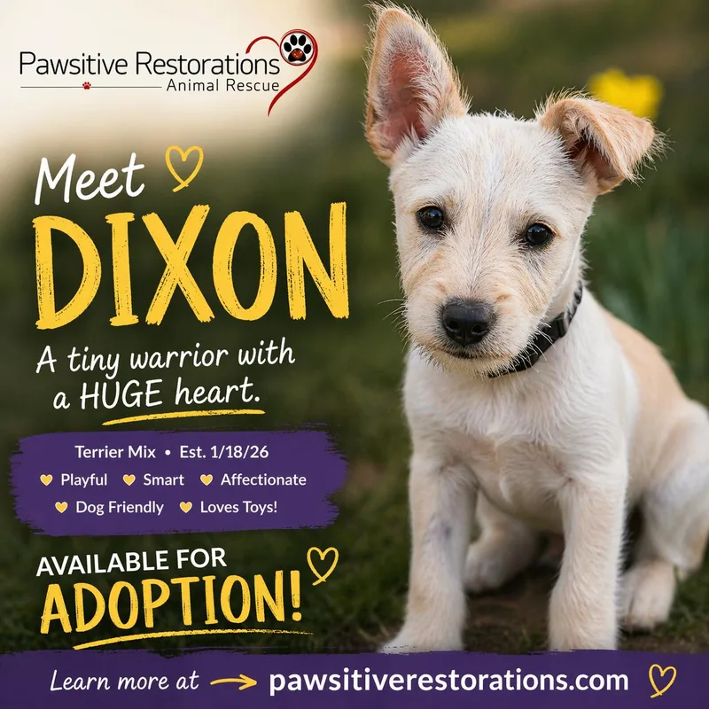 Dixon