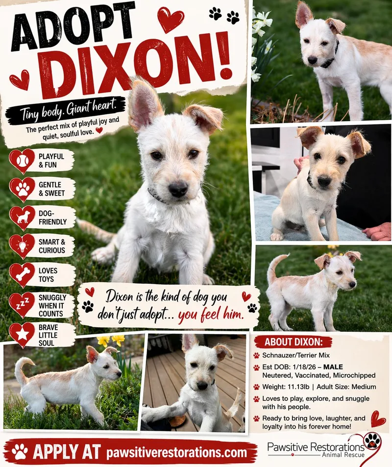 Dixon thumbnail 4