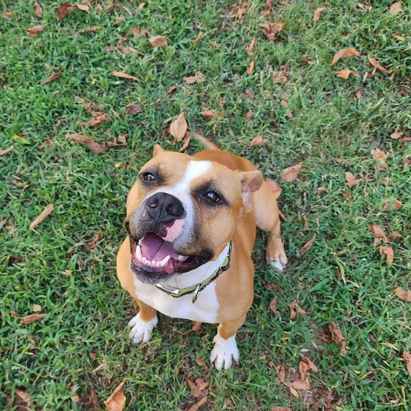 Cleopatra thumbnail 2