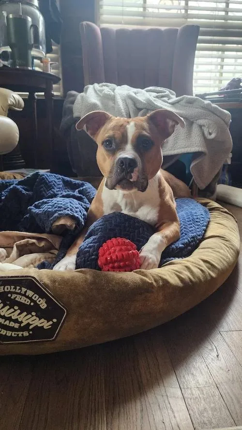 Cleopatra thumbnail 3