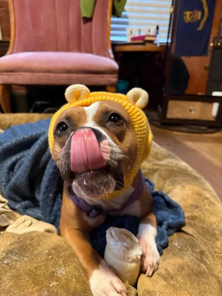 Cleopatra thumbnail 4