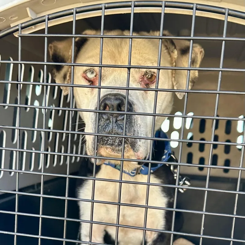 Hank Aka Mac Mcelwee thumbnail 2