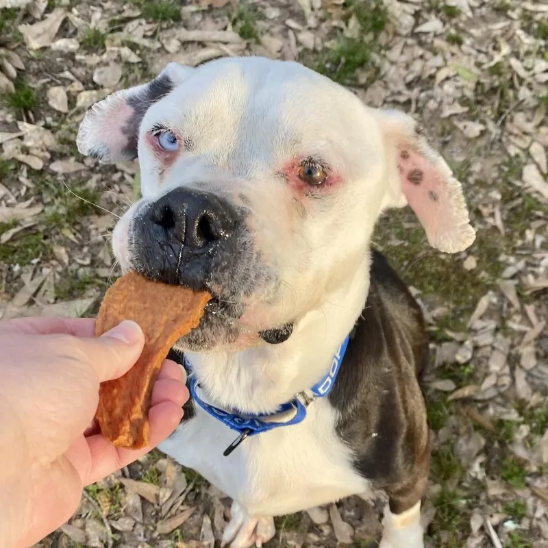 Hank Aka Mac Mcelwee thumbnail 3