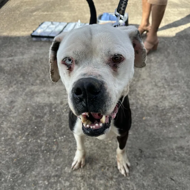 Hank Aka Mac Mcelwee thumbnail 5