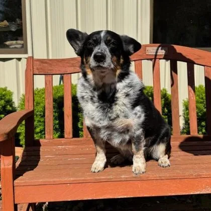 Walter
