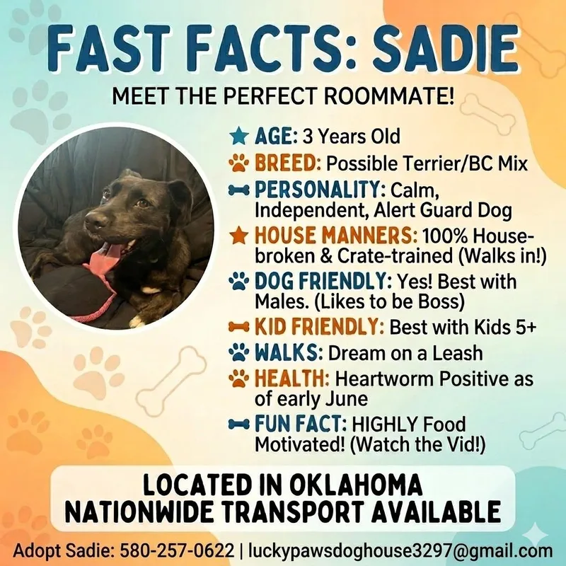 Sadie thumbnail 4