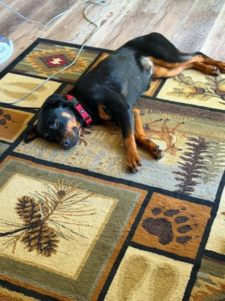 Hildie thumbnail 2