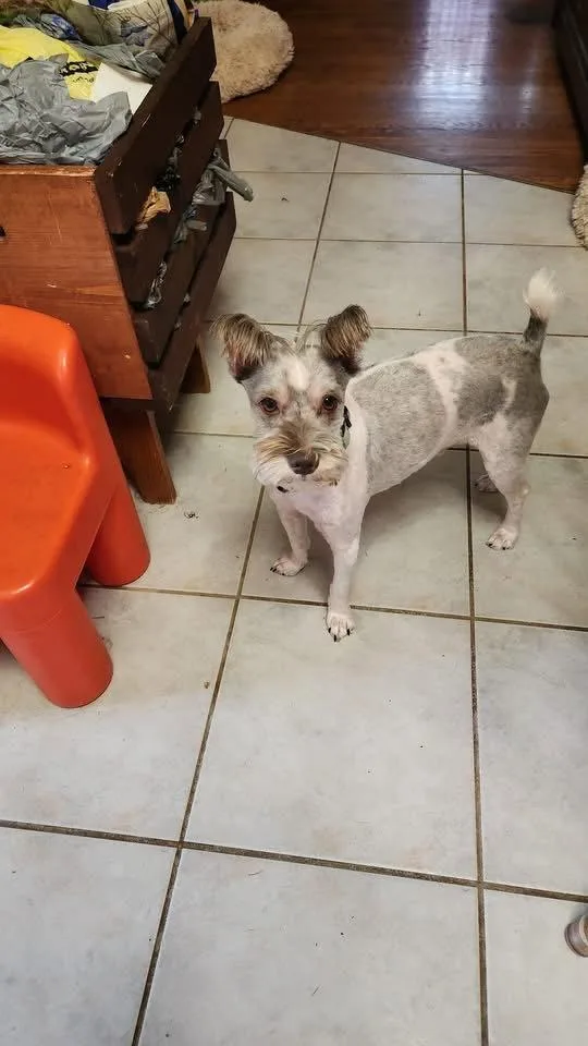 Max