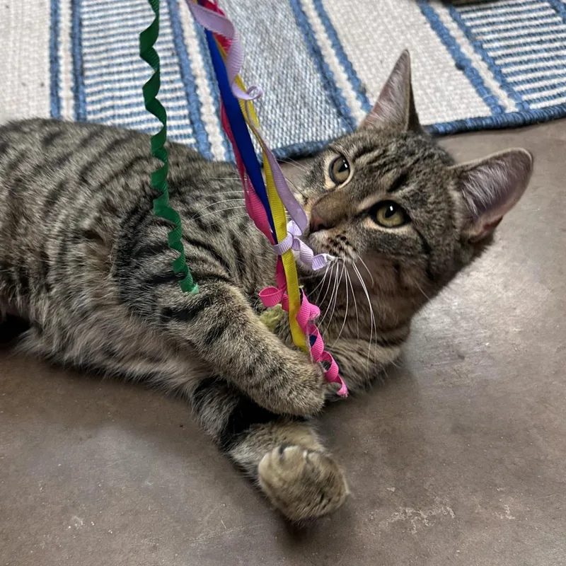 Manfred W Tobias thumbnail 2