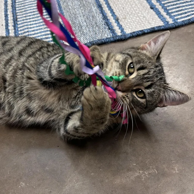 Manfred W Tobias thumbnail 3