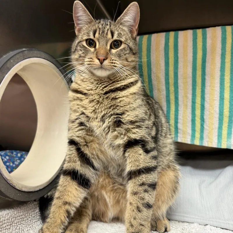 Manfred W Tobias thumbnail 4