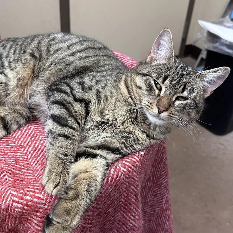 Manfred W Tobias thumbnail 5