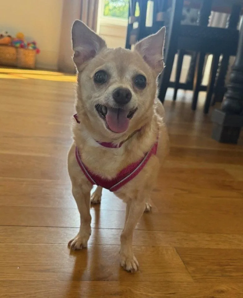 Chloe aka