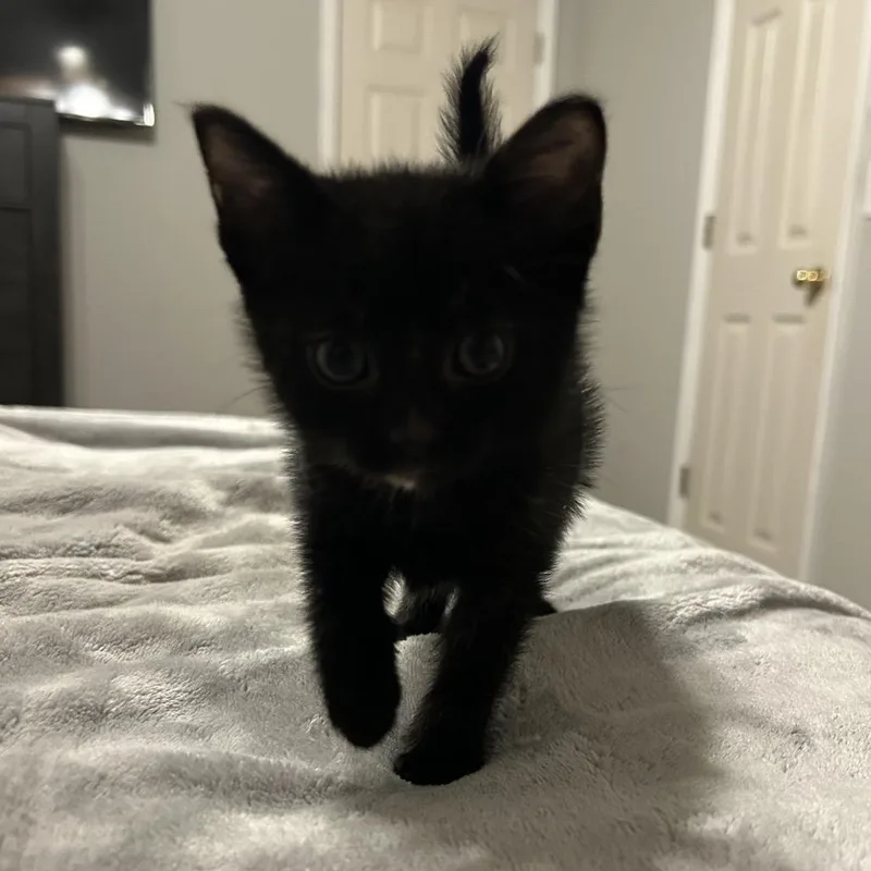 Svetlana thumbnail 3