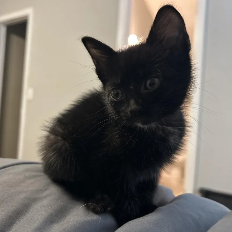 Svetlana thumbnail 5