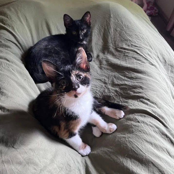 Svetlana thumbnail 6