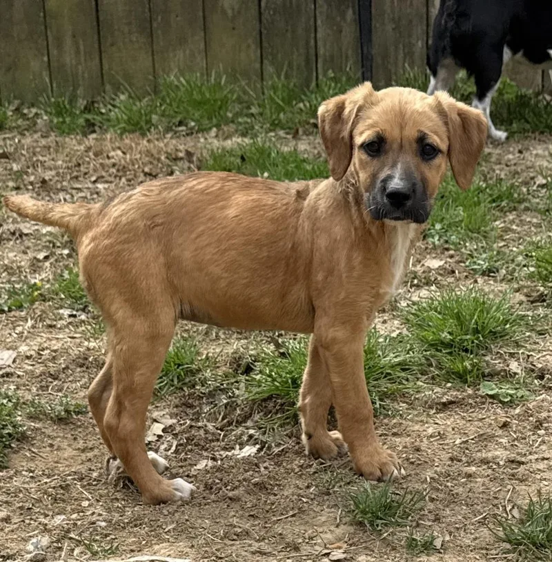 Monica Friends Girls