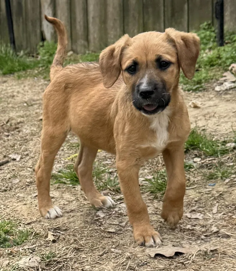 Monica  Friends Girls thumbnail 2