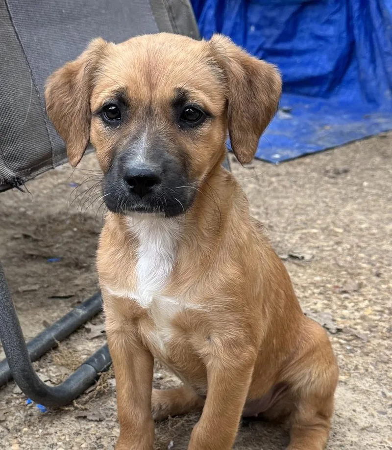 Monica  Friends Girls thumbnail 3