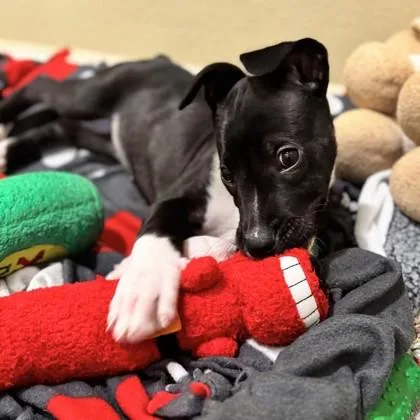 Rubik`s Cube thumbnail 2