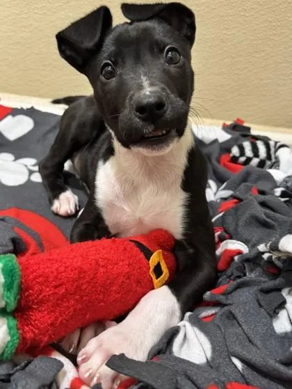 Rubik`s Cube thumbnail 3