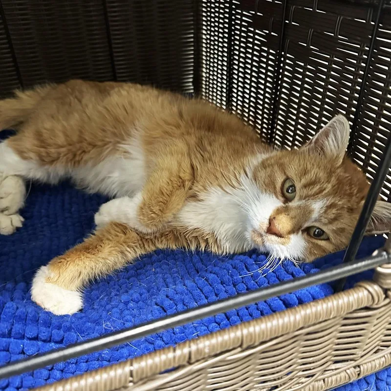 Charlene thumbnail 2