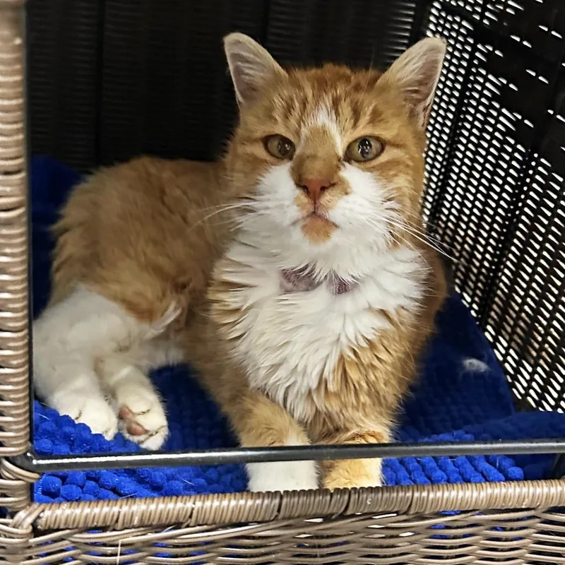 Charlene thumbnail 4